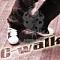    yone23