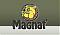    Magnat